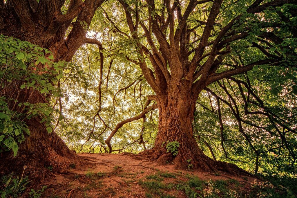 Osnabrück Natur