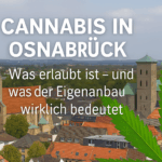 Cannabis Eigenanbau