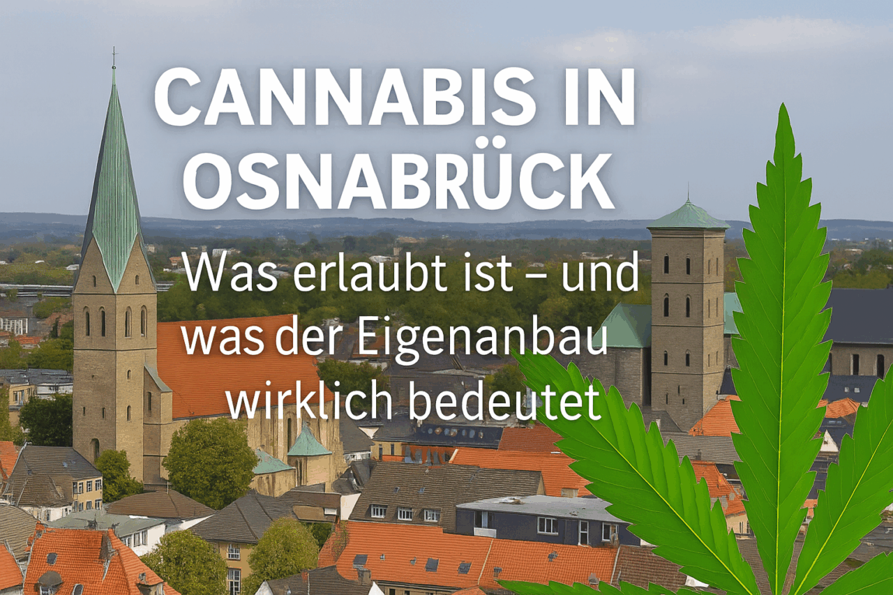 Cannabis Eigenanbau