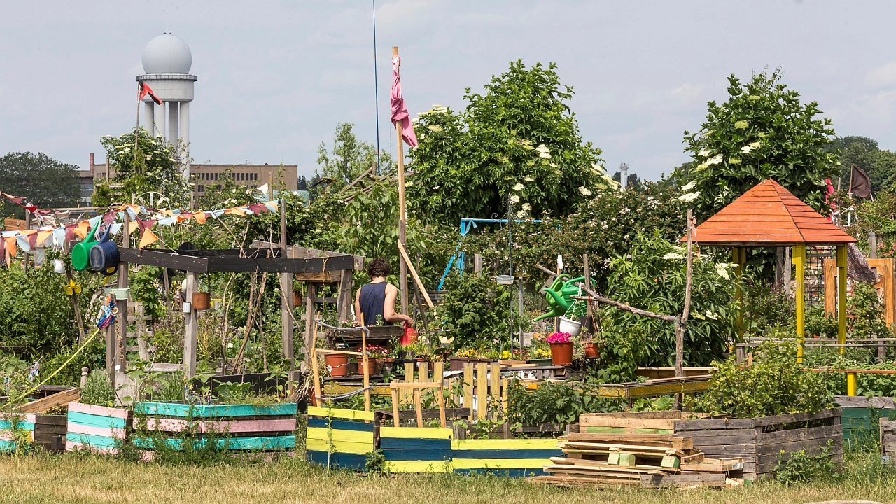 Gesellschaftlicher Trend Gärtnern Urban Gardening