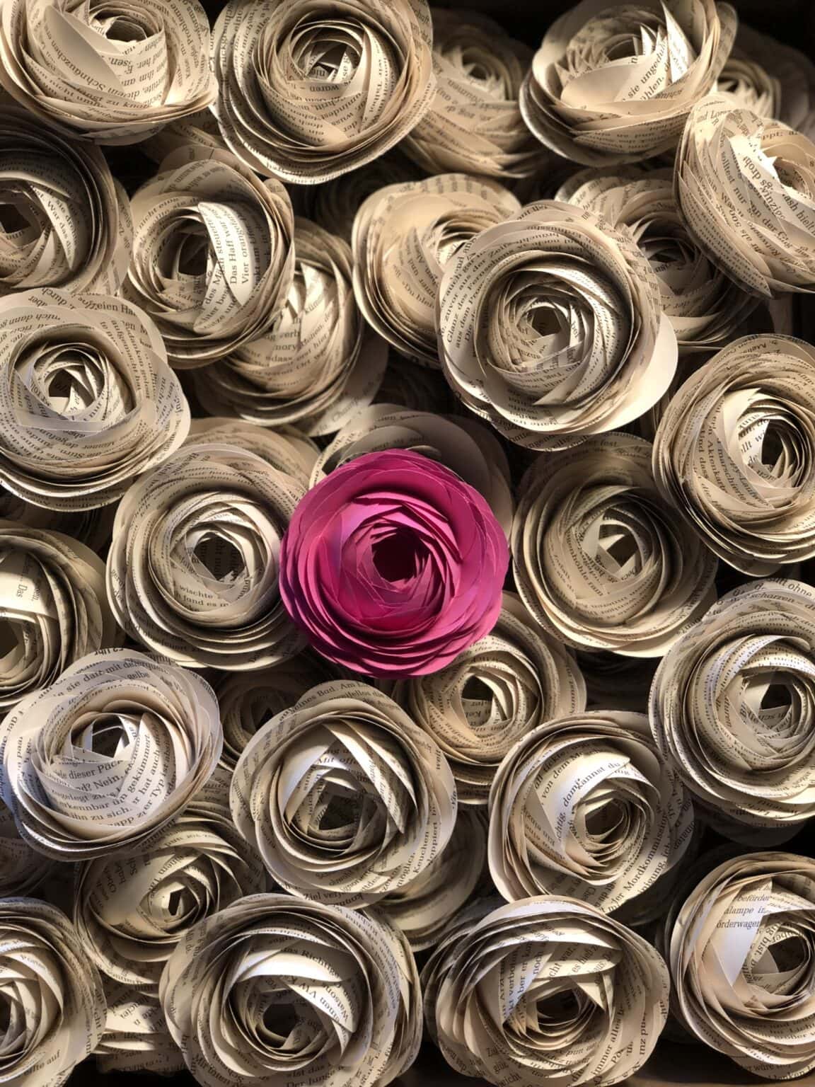 Faszinierende Geschichte Osnabr ck Wichtige Ereignisse Und Faszinierende Geschichte Osnabr ck Wichtige Ereignisse Und