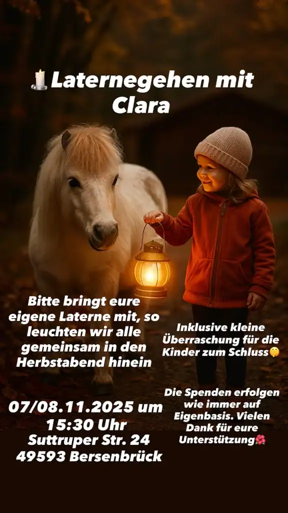 Tiergestützte Therapie mit Pony Clara